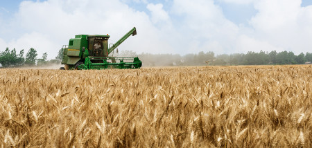 akkerbouw graanoogst combine graan - agri