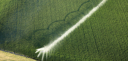 aardappelen aardappelperceel Verenigde Staten beregening