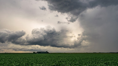 regen neerslag