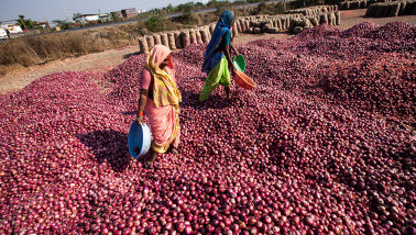 uien rode uien India