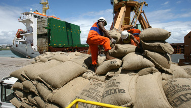 Boerenbusiness Cacao