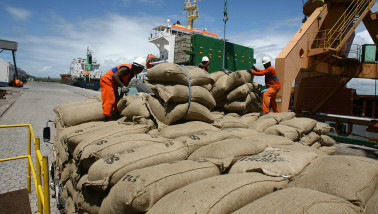 Boerenbusiness Cacao