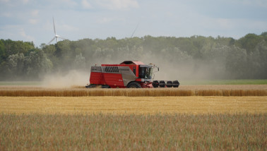 graanoogst combine tarweoogst