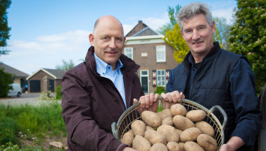 Hoeksche Hoeve Henk Scheele