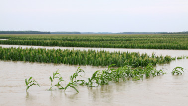 mais china overstroming waterschade