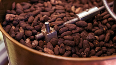 Cacao