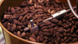 Cacao