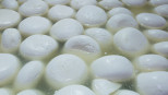 kaas mozzarella